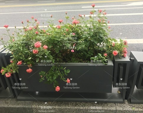 隔離花箱護欄